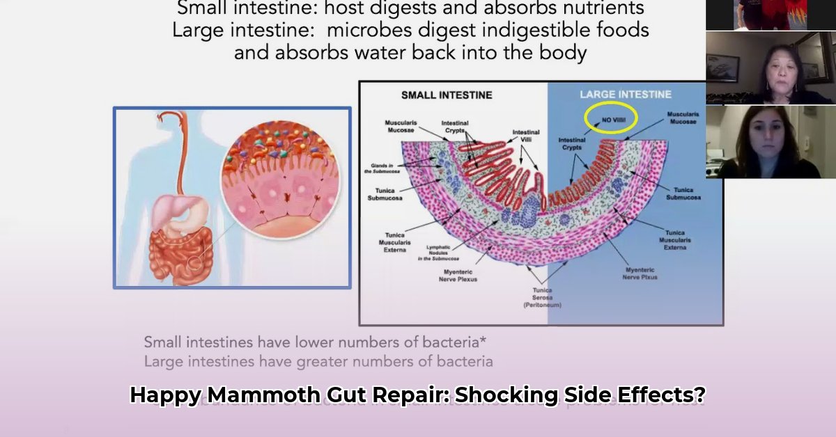 happy-mammoth-complete-gut-repair-side-effects